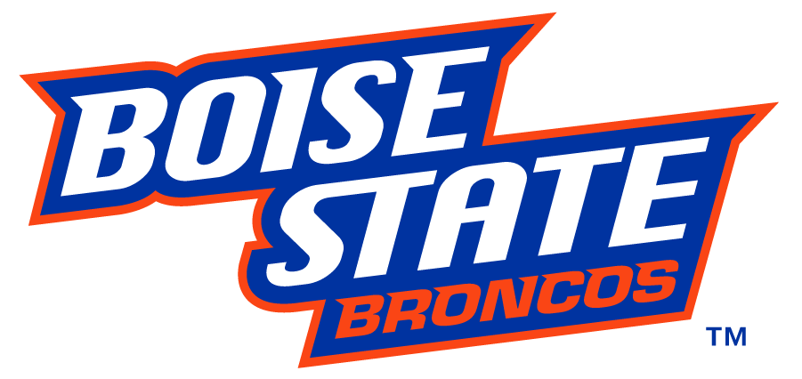 Boise State Broncos 2012-2013 Wordmark Logo v3 iron on transfers for T-shirts